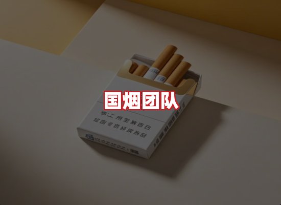 国烟团队